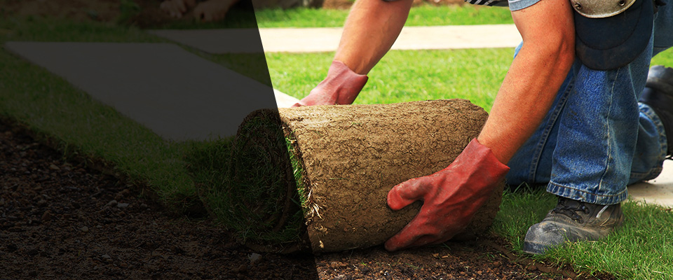 Coal Township Landscapers